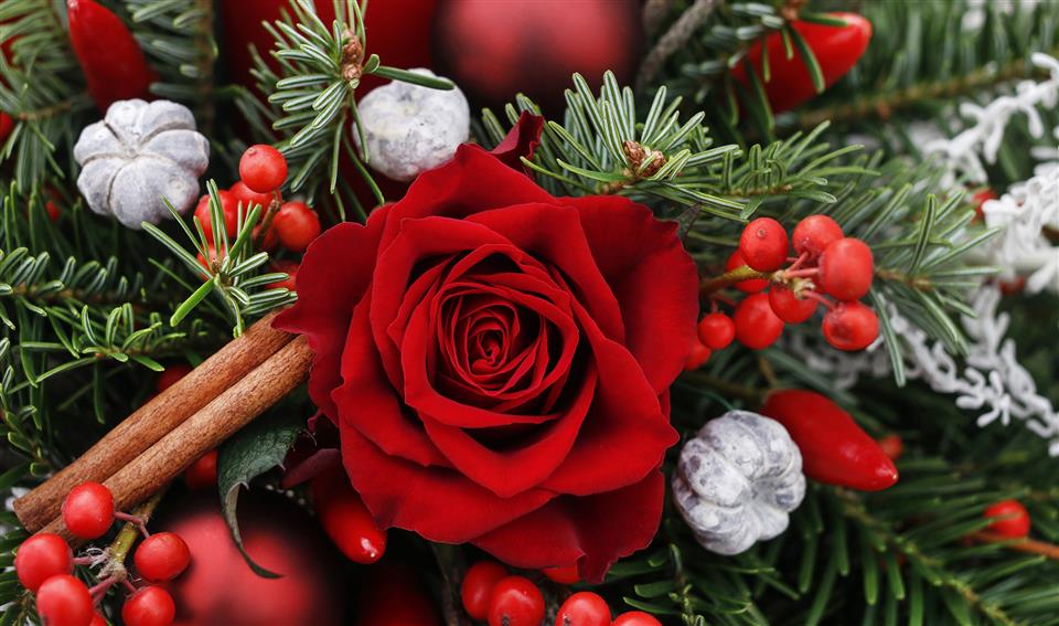 Joanne's Florist Ltd